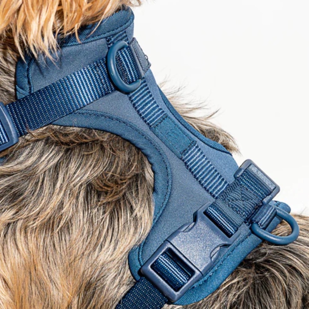 Wild One:  X-Small Dog harness in Navy